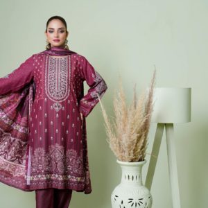 Model showcasing an elegant maroon embroidered dress in a fashion studio setting.